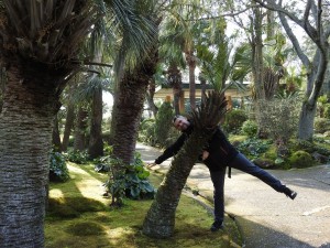 beppu008