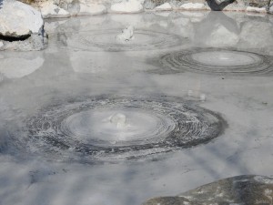 beppu010