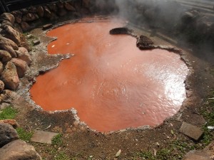 beppu014