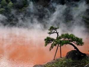 beppu025