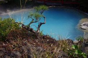 beppu030