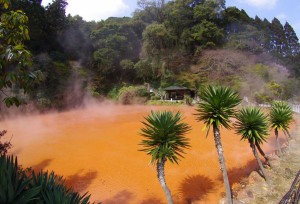 beppu025a