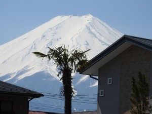 fuji015