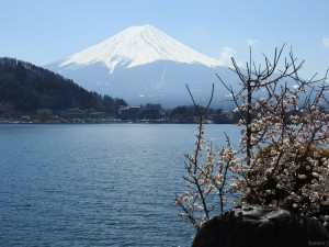 fuji007