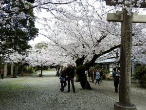 himeji002