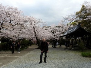 himeji005