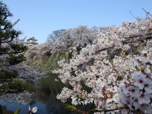 himeji009