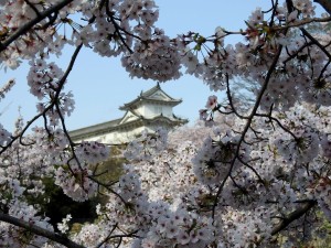 himeji010