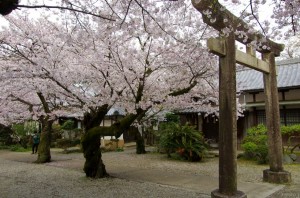 himeji002a