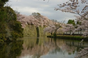 himeji016