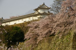 himeji018