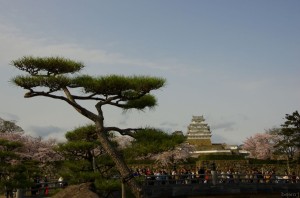 himeji020