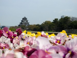 hirosh003
