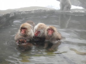 image008