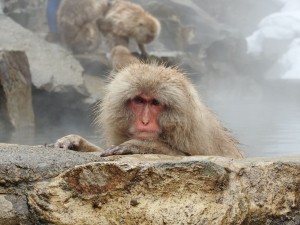 image016