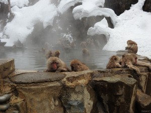 image017