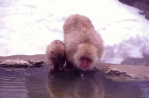 image025