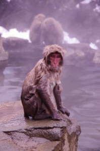 image028