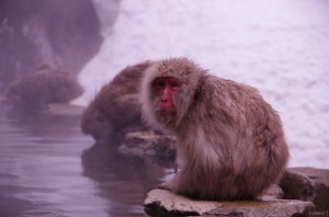 image029