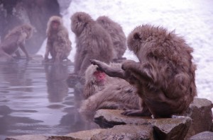image034