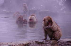image035