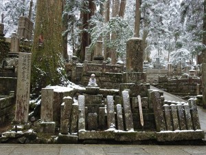 koya006-1