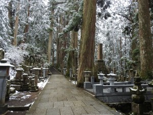 koya009-1