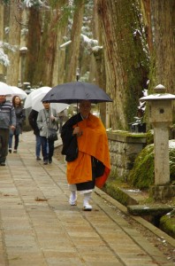 koya016-2