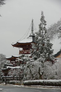 koya017-2
