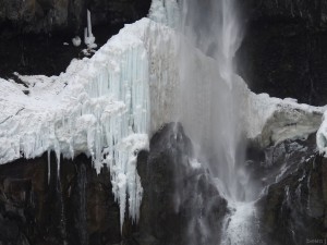 nikko009