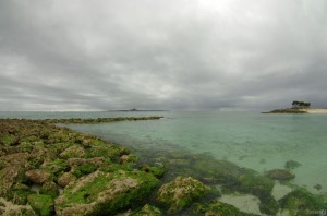 ocean100