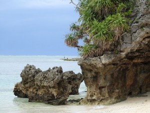 ocean102
