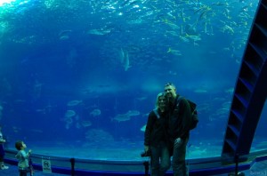 ocean016f