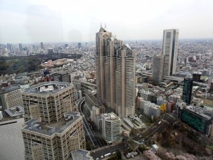 tokyo d010