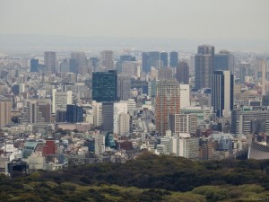 tokyo d011