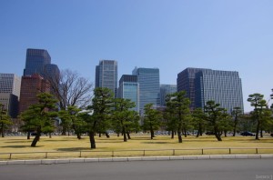 tokyo d003a