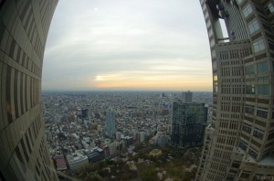 tokyo d012a