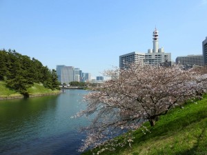 tokyo w002