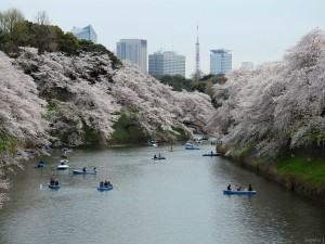 tokyo w013