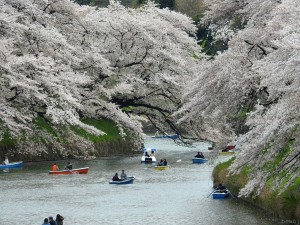 tokyo w014