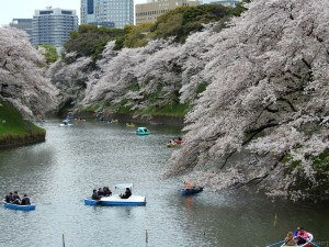 tokyo w015