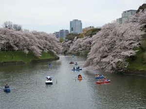 tokyo w016
