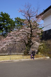 tokyo w019