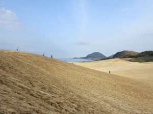 totto005