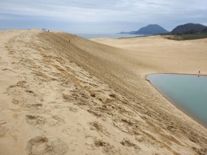 totto018